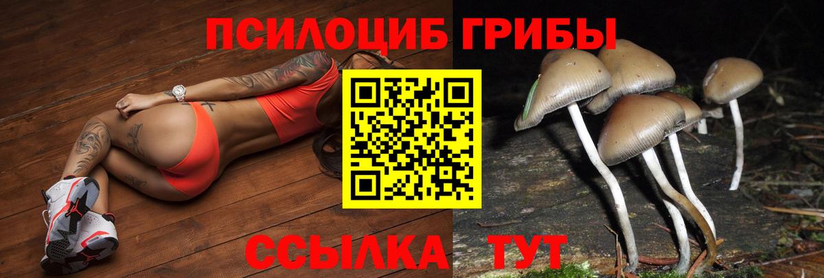 Псилоцибиновые грибы Cubensis  что такое   Псилоцибиновые грибы Cubensis  Сафоново  Вход с VPN 