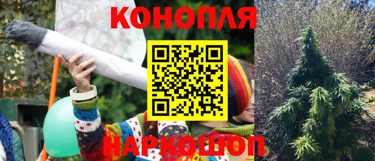Бошки Шишки конопля  Марихуана план  Конопля White Widow  Конопля марихуана  Сафоново  Вход с VPN 